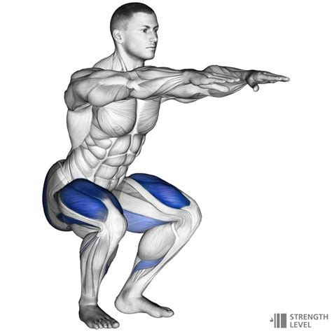 Bodyweight Squat Standards for Men and Women (lb) - Strength Level