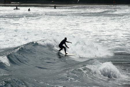 Playa Las Canteras Whale, Surf, Animals, Beach, Summer Time, Sports ...