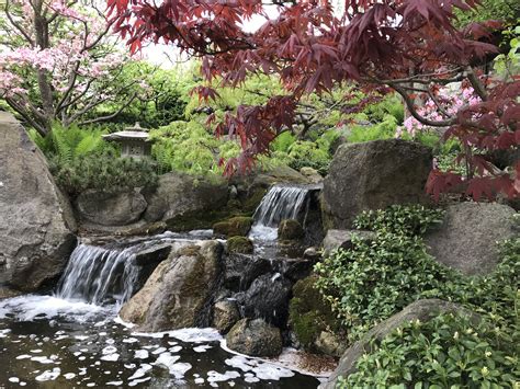 Anderson Japanese Gardens - May 11, 2018 | Japanese garden, Outdoor, Waterfall