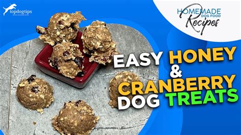 Recipe: Easy Honey & Cranberry Dog Treats – Top Dog Tips