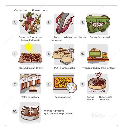 IELTS Essay: Cocoa Beans and Chocolate Process Diagram - How to do IELTS