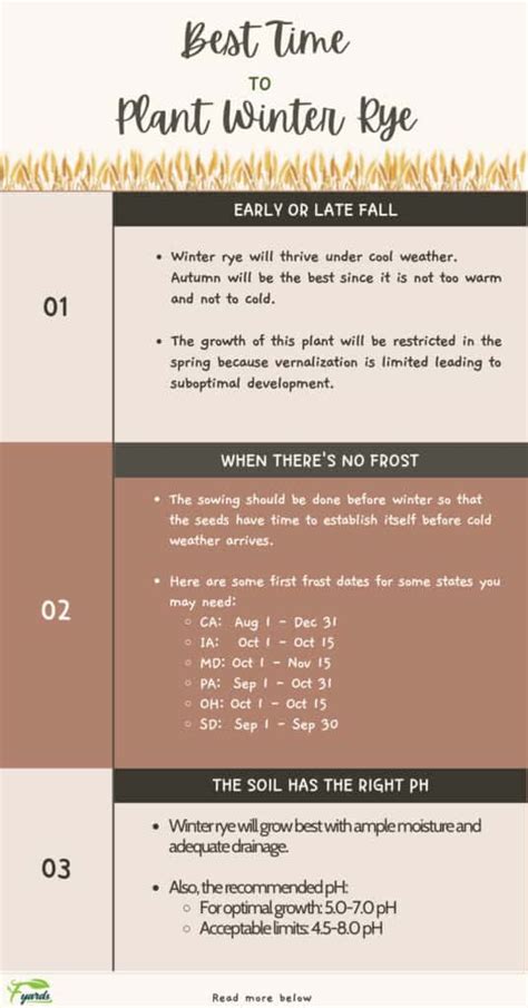 When to Plant Winter Rye? - Planting Season for Winter Rye