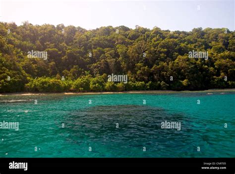 Snorkeling area off the coast of Cochino Grande, in the Cayos Cochinos ...