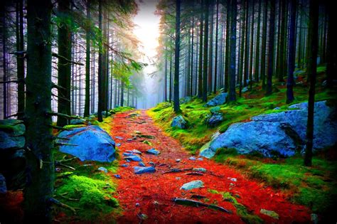 Pathway Wallpapers | Most beautiful places in the world | Download Free Wallpapers