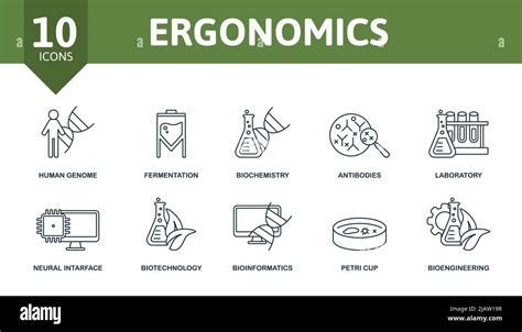 Ergonomics set icon. Editable icons ergonomics theme such as human genome, biochemistry ...