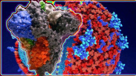 Popular Protein N Antibody Test May Not Detect Antibodies That Could Confirm Protection Against ...