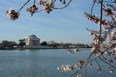 Monuments in Washington DC - National Mall Junior Ranger Program | Trekaroo