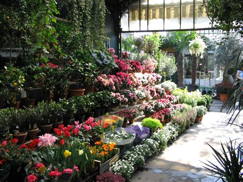 Paris flower market | Simply Bloom | Pinterest