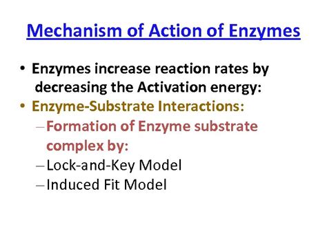 Enzyme Structure classification and mechanism of action