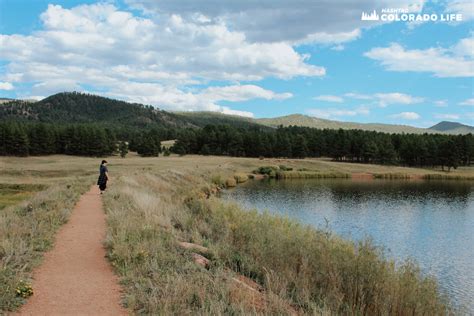 21 Best Things to Do in Woodland Park From a Colorado Local