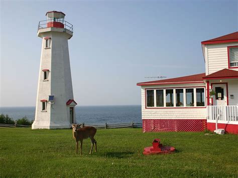 Quebec's Anticosti Island wants to be recognized as UNESCO heritage ...