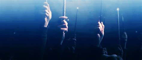 When everyone raised their wands for Dumbledore and you had to stop ...