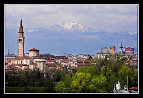 stinkbug: Pordenone, Italy