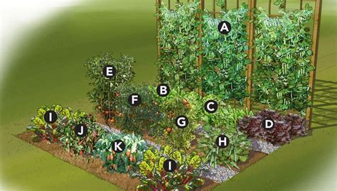 How To Plant Your Garden Layout