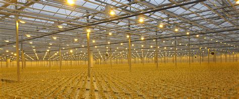 Greenhouse Lighting Systems Customized by GrowSpan