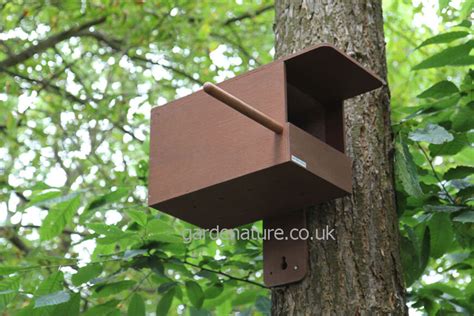 Kestrel Nest Box