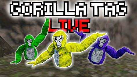 Gorilla Tag WITH FANS!!! live stream! - YouTube