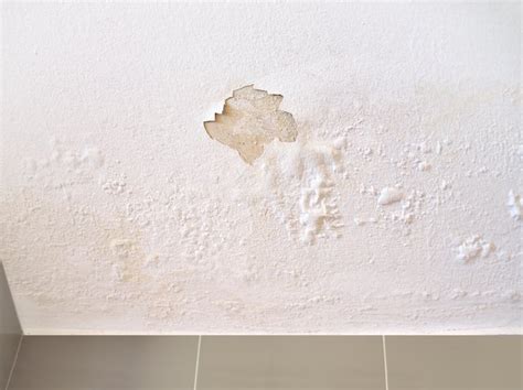 9 Causes of a Leaky Roof — And How to Fix Them | Hunker