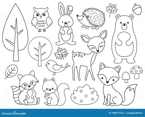 Vector Line Set of Woodland Animals Outline for Coloring Stock Vector ...