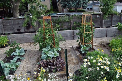 Three Fundamental Truths About Urban Farming | Architect Magazine