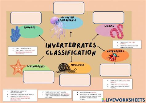 Invertebrates classification 2177339 | Antonio Sánchez