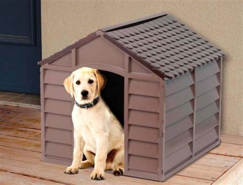 Las 7 Mejores Casas para Perros Grandes en Amazon 2020 | PERROSPEDIA