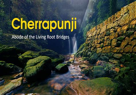 Do You Know the Mystery Behind the Living Root Bridges of Cherrapunji?