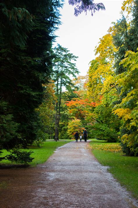 Autumn Adventures at Westonbirt Arboretum - Jaye Rockett