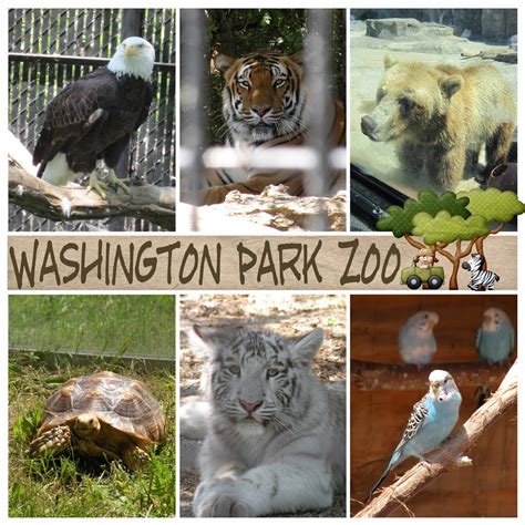 Katie's Nesting Spot: Washington Park Zoo