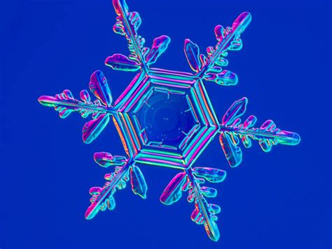 Snowflakes All Fall In One of 35 Different Shapes | Smithsonian