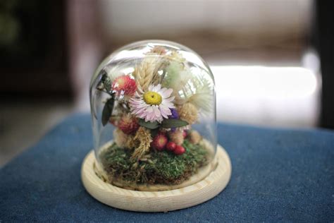 Medium Dried Flowers Glass Dome / Cloche – Avigail Adam