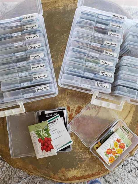 Seed Storage: The Best Way to Store & Organize Garden Seeds ~ Homestead ...