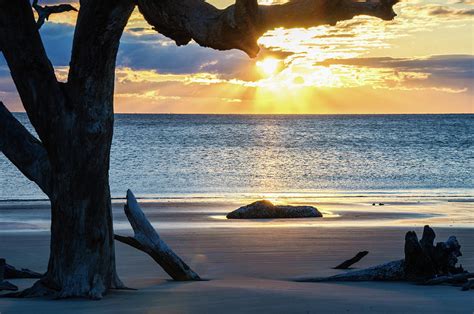 Driftwood Beach Sunrise Photograph by Andrew Wilson - Fine Art America