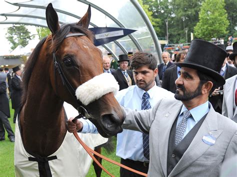 elan | How Arab Royals are keeping Tradition and History alive, with Horse Racing - elan