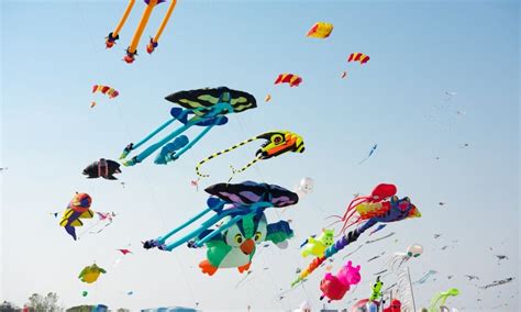 International Kite Festival, Ahmedabad, Gujarat - Truly India Tours