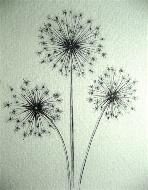 Starburst+4_8_2011.jpg 1 243 × 1 600 pixels | Flower drawing, Dandelion ...