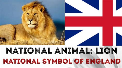 English National Symbols