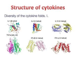 Cytokines | PPT