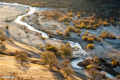 1,723 Gobi Desert Plants Stock Photos, High-Res Pictures, and Images - Getty Images