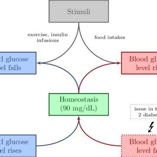 Standard one-layer feedforward neural network (left) and recurrent... | Download Scientific Diagram