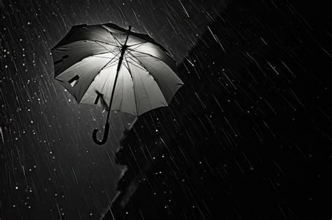 Premium AI Image | Black and white umbrella in the rain