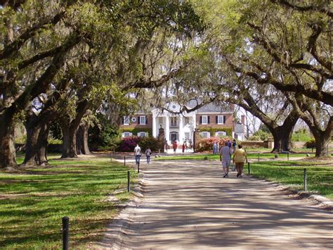 Historical Tours: Boone Hall Plantation