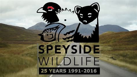 Autumn Speyside Wildlife with Craig Round - YouTube