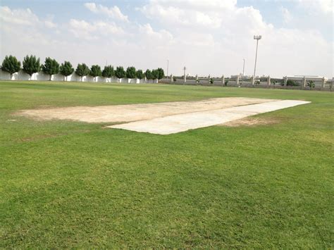 Pin by Desert Premier League on Skyline University College Cricket Ground Sharjah | Cricket ...