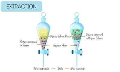 What Is the Difference Between Liquid Liquid Extraction and Supported Liquid Extraction? - Chrom ...