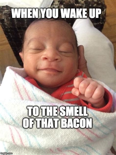 Pin by Neal Oberting on Bacon | Bacon memes, Bacon, Hilarious