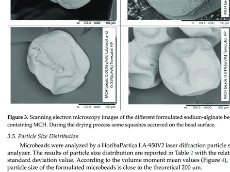 Scanning electron microscopy images of the different formulated ...