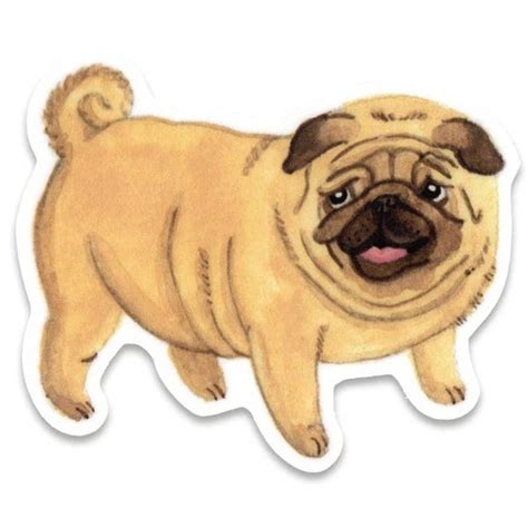 Pug Sticker