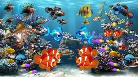 Aquarium hd wallpaper, aquarium wallpaper - Best 2 Travel Wallpaper