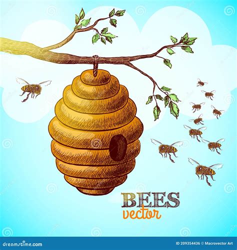 Honey Bees and Hive on Tree Branch Background Illustration Stock Vector ...